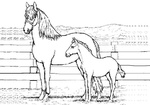 Ausmalbilder Pferde 13