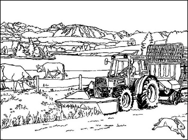 65 Ausmalbild Traktor Malvorlagen für Kinder zum Ausdrucken