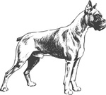Ausmalbilder Hunde 4