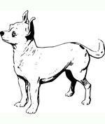 Ausmalbilder Hunde 8