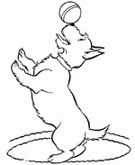 Ausmalbilder Hunde 10