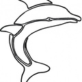 Ausmalbilder Delphin 4