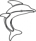 Ausmalbilder Delphin 4