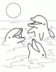 Ausmalbilder Delphin 16