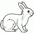 Ausmalbilder Kaninchen 2