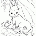 Ausmalbilder Kaninchen 3