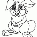 Ausmalbilder Kaninchen 9