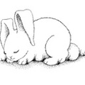 Ausmalbilder Kaninchen 15