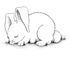 Ausmalbilder Kaninchen 15
