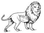 Ausmalbilder Löwe 1