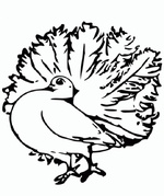 Ausmalbilder Vogel 5