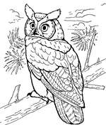 Ausmalbilder Vogel 12