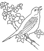 Ausmalbilder Vogel 38