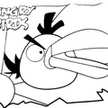 Ausmalbilder Angry Birds 8