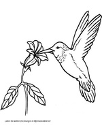 Ausmalbilder Frühling 37