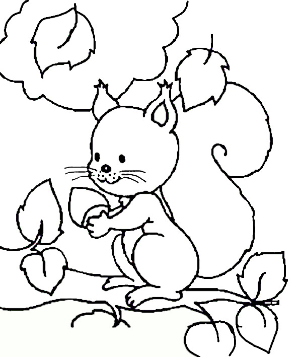 Ausmalbild Eichhörnchen