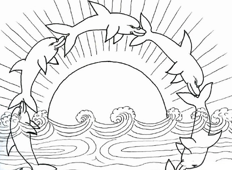 Tiere Delphin Ausmalbilder Kostenlos